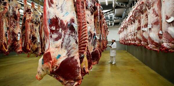 El Gobierno de Bolivia liberó las exportaciones de carne bovina y granos