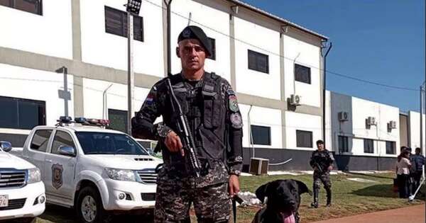 La Nación / Homenajean a lince caído en Veneratio