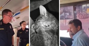 Policía revisa actuación tras incidente con mascota en colectivo - Portal Digital Cáritas Universidad Católica