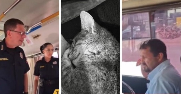 Policía revisa actuación tras incidente con mascota en colectivo - Portal Digital Cáritas Universidad Católica