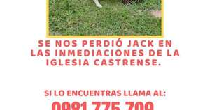 La Nación / Familia busca recuperar a su querida mascota Jack
