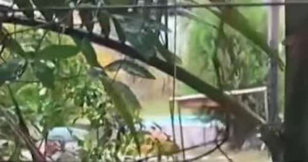 La Nación / Falleció el segundo niño que cayó a una piscina en Misiones