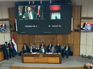 Senador Colym Soroka es elegido presidente de Comisión Permanente del Congreso - Política - ABC Color