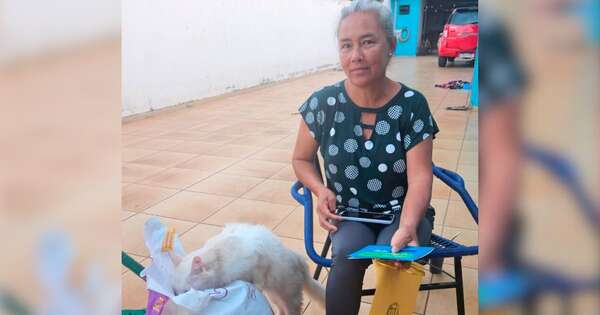 Diario HOY | Doña Jorgelina y su gatita aceptaron las disculpas de la Línea 12