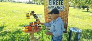 San Ignacio: la producción de miel se afianza como alternativa económica para familias rurales - Nacionales - ABC Color