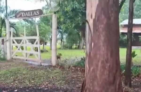 Confirma la muerte del segundo niño que había caído a una piscina - trece