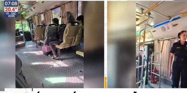 Empresa pide disculpas y compensa a pasajera "obligada" a bajar del bus por viajar con su gato