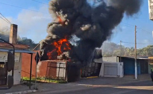 Popular / Incendio arrasó librería e informática