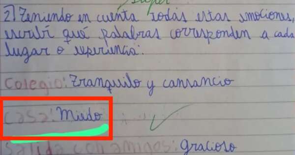 La Nación / “Casa = miedo”: las señales de Joaquín que nadie vio y una tragedia que interpela a la sociedad