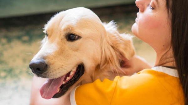 ¿Los humanos comparten raíces genéticas con los golden retrievers?