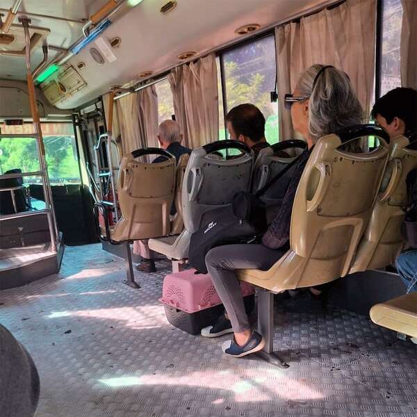 Policía investigará a uniformados que echaron a una mujer y a su gato de un bus - Nacionales - ABC Color