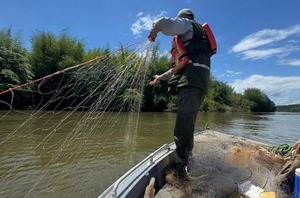 Incautan redes de monofilamento y espineles durante controles de veda pesquera en ríos del país - ADN Digital