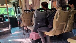 Transportar mascotas en buses sí se puede y hablan con plataformas