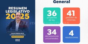 EL DIP. CARLOS PEREIRA DESTACA BALANCE POSITIVO DEL 2025 EN LA CÁMARA DE DIPUTADOS