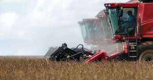 La Nación / Paraguay se destaca por su desempeño agrícola, según BID