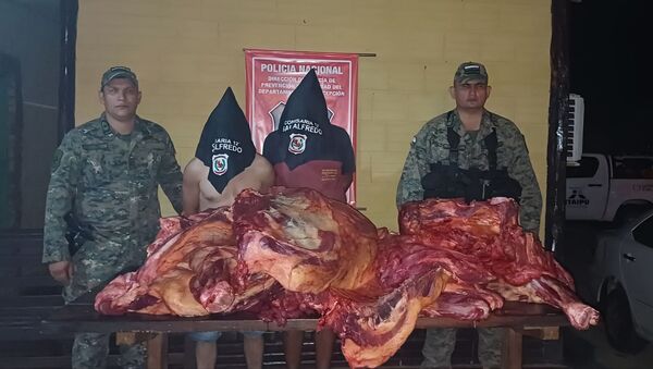 Dos detenidos por abigeato tras operativo policial en San Alfredo - Concepción al Día