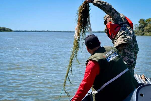 Finaliza la veda 2025 y pescadores de Ayolas retoman sus actividades - Nacionales - ABC Color