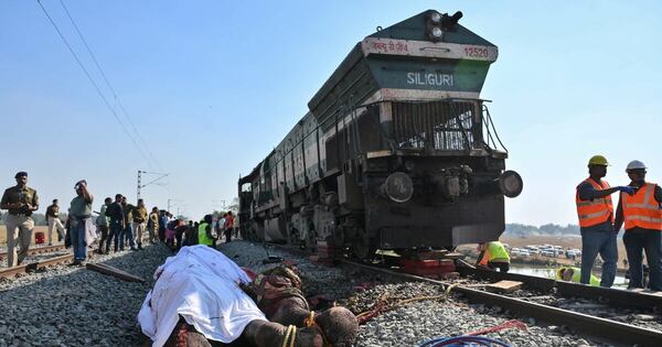 La Nación / Siete elefantes murieron atropellados por un tren en India