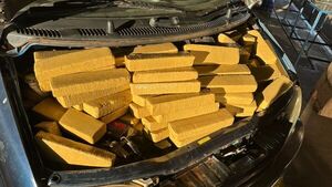 Incautan 256 kilos de marihuana en Puente de la Amistad y conductor huye hacia Paraguay