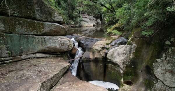 La Nación / Salto Pozo Hondo: aguas profundas en el encantado bosque guaireño