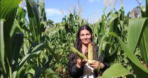 La Nación / Unas 1.500 familias recibieron semillas