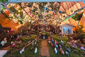 Emotiva tradición del pesebre en las familias paraguayas - Nacionales - ABC Color