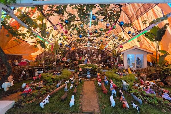 Emotiva tradición del pesebre en las familias paraguayas - Nacionales - ABC Color