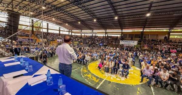 La Nación / Liberales van a Convención extra para reformar estatuto partidario