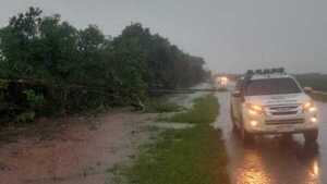 Temporal causa caída de árboles y columnas de la ANDE en Alto Paraná