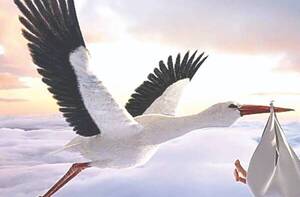 Kaigué la cigüeña; Cada vez nacen menos paraguayos