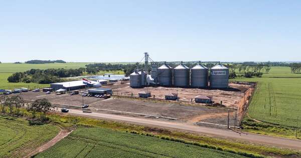 La Nación / Agrofértil inaugura silo en Capitán Bado y consolida su presencia en el norte del país