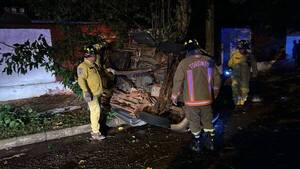 Sacerdote perdió la vida tras chocar su auto contra un árbol