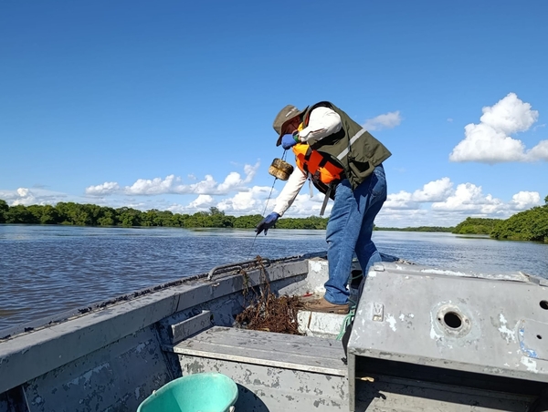 Termina la veda pesquera en aguas compartidas entre Paraguay y Argentina