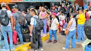 Horarios de buses quedan liberados desde este lunes - trece