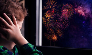 Buenos Aires prohíbe el uso de pirotecnia con efecto audible - OviedoPress