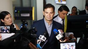 Senaduría vitalicia podría dividir más en ANR: "Sería un alboroto innecesario en el gallinero"