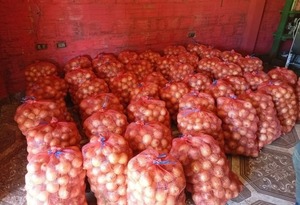 Productores de Caazapá concretan exitosa comercialización de cebolla en el Mercado de Abasto - ADN Digital