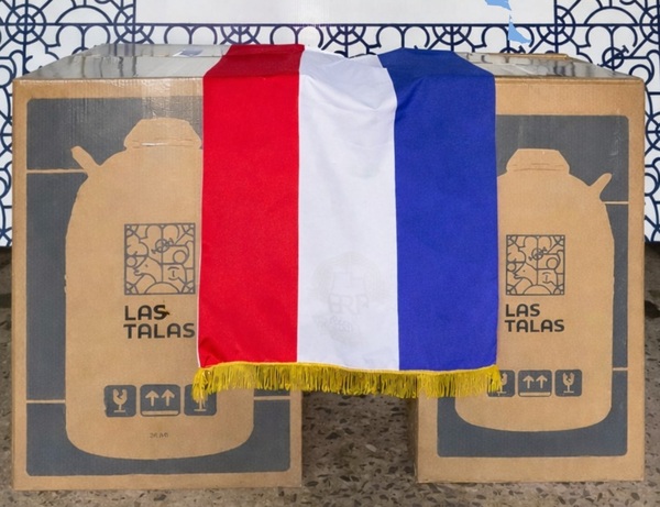 Las Talas concretó la exportación de 512 embriones Brahman a Argentina