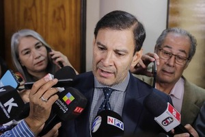 Ovelar: Cartes no busca cargos con nueva ley de senaduría