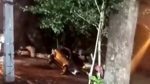 Camioneta cae en obra inconclusa y expone abandono en el barrio San Pablo de Asunción