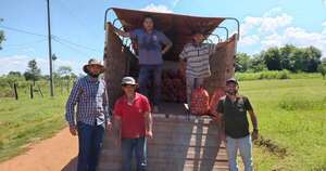 La Nación / Productores de Caazapá concretaron exitosa comercialización de cebolla en el mercado interno