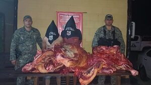 Fiscal confirma imputaciones en dos casos de abigeato investigados en Concepción - Canal-E