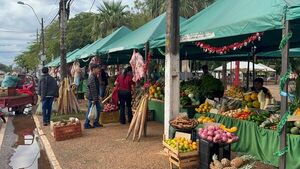 Importante movimiento en la feria agrícola de la Plaza Pinedo - Concepción al Día