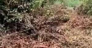 La Nación / Hallan cuerpo de adolescente desaparecida en arroyo de Cambyretá