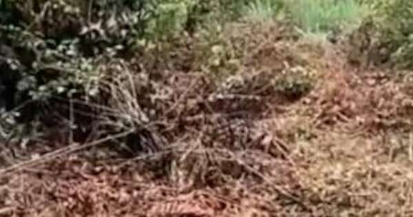 La Nación / Hallan cuerpo de adolescente desaparecida en arroyo de Cambyretá