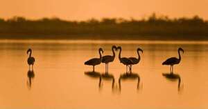 La Nación / USD 500 millones: el turismo de reuniones consolida su peso en la economía paraguaya