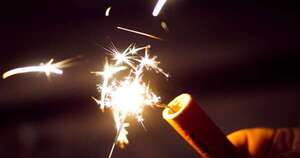 La Nación / Instan a dejar de lado la pirotecnia para proteger a las mascotas