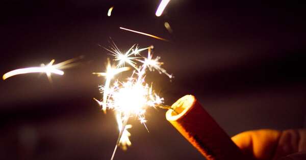 La Nación / Instan a dejar de lado la pirotecnia para proteger a las mascotas