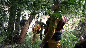 Hallan sin vida a adolescente desaparecida tras intenso operativo de búsqueda