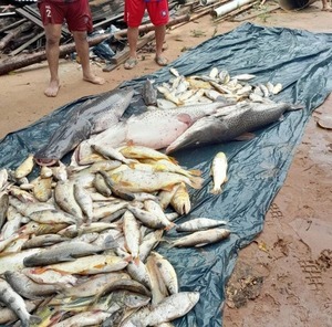 Vertido de desechos a río causa mortandad de peces en Itapé